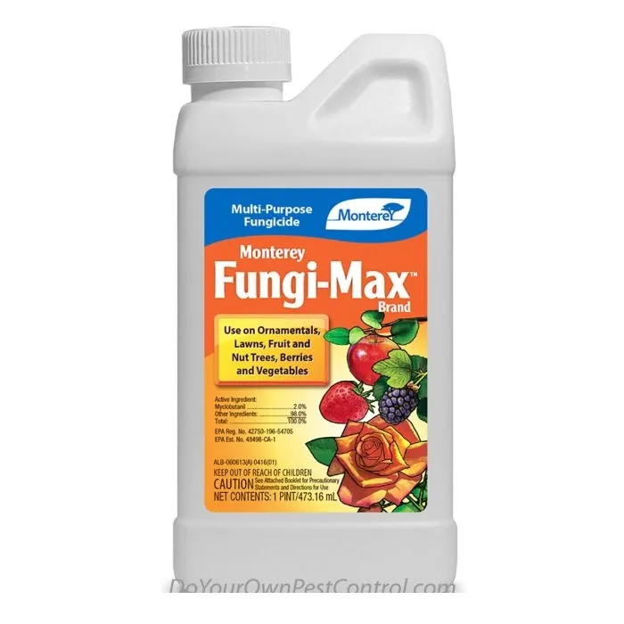 diypestcontrol728843