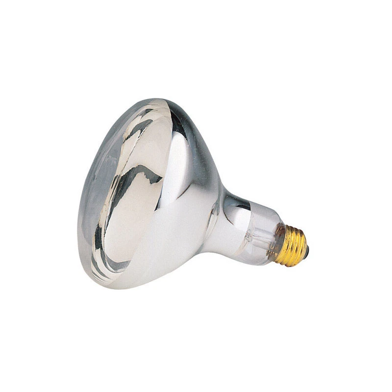 hammondhardware24434